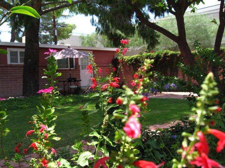 Mon Ami Bed And Breakfast Tucson Quarto foto